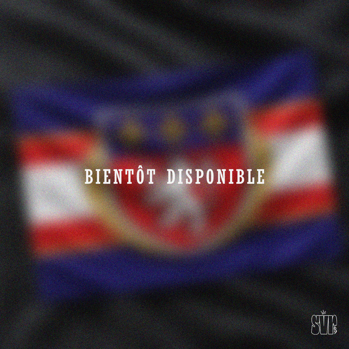 Les drapeaux